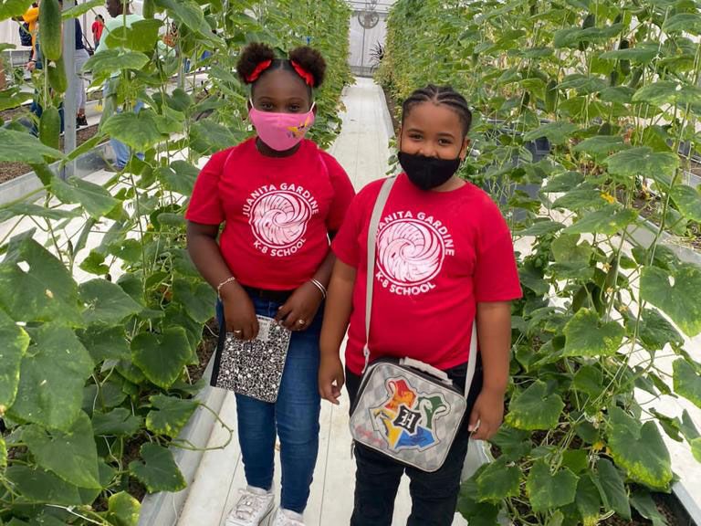 Two children standing between the crop rows of an aquaponics greenhouse.