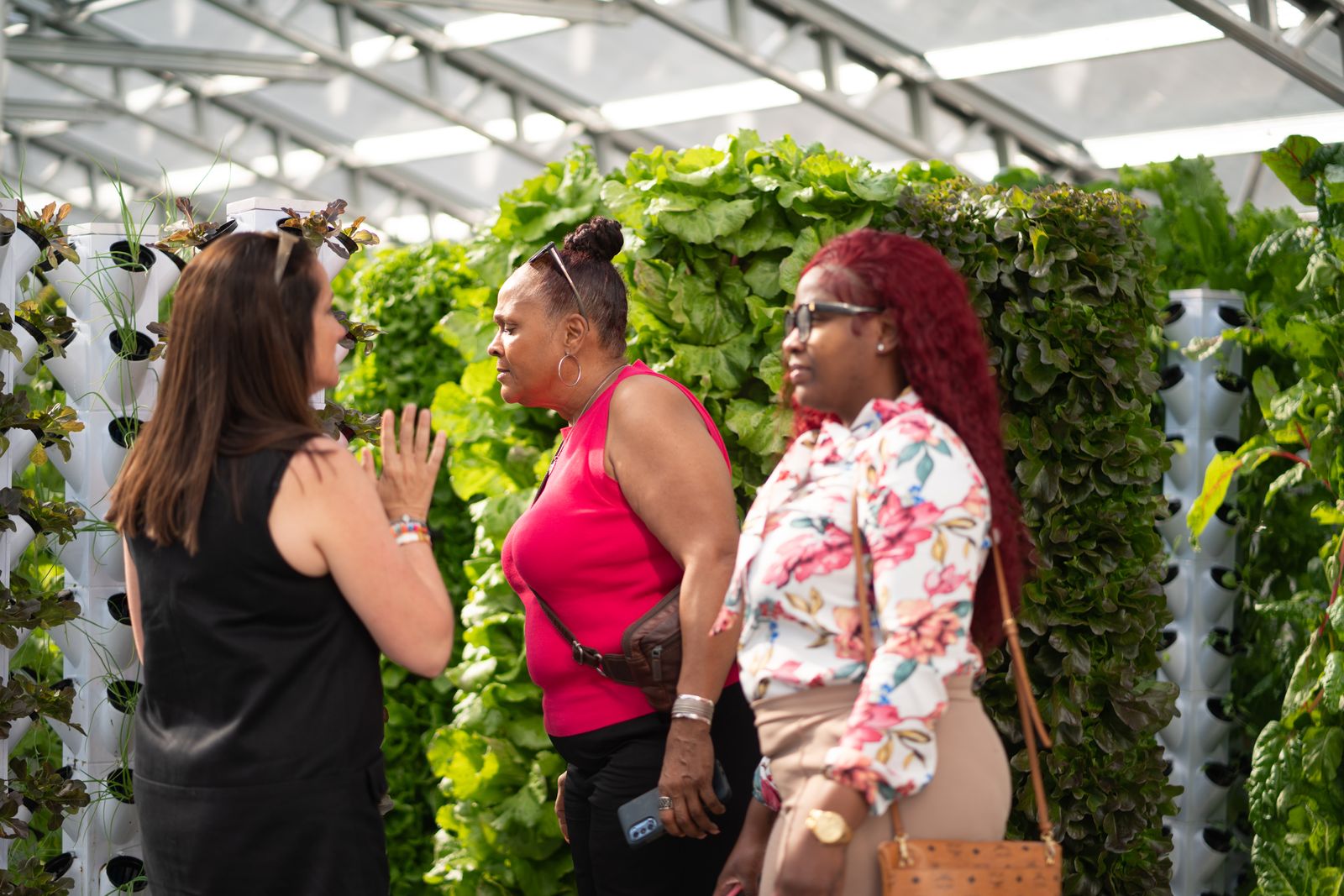 Visitors talking with a guide on a tour through the aquaponics greenhouse