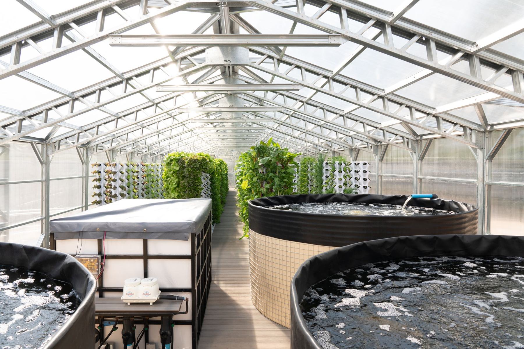 Rows of grow towers inside a FreshMinistries aquaponics greenhouse