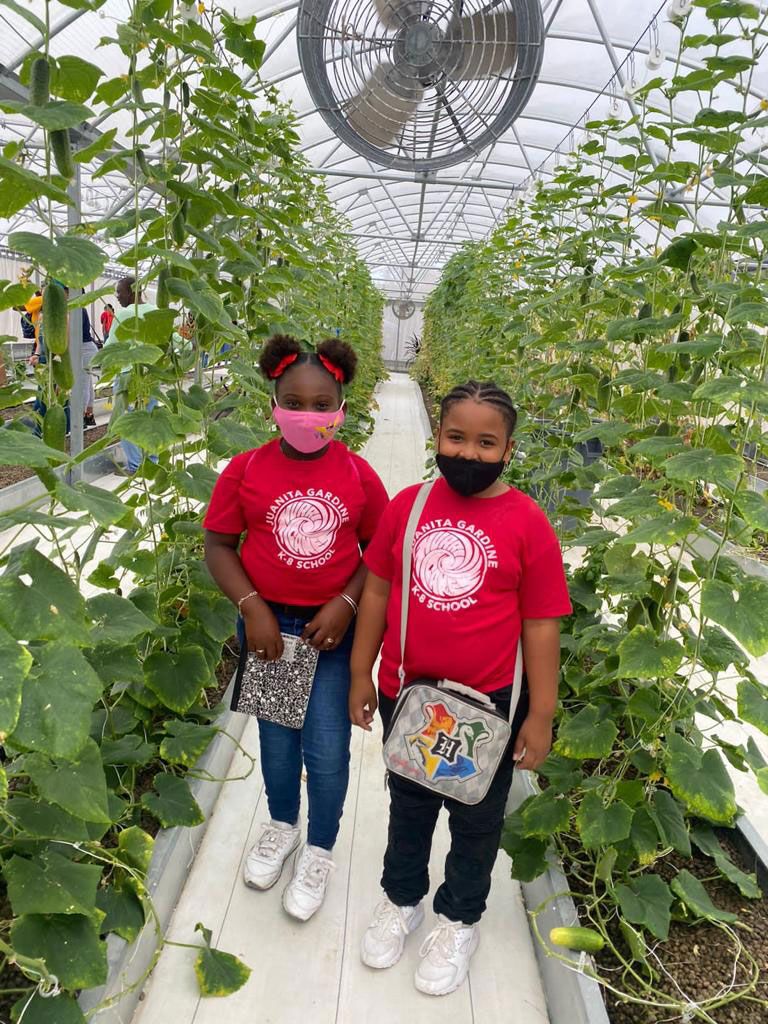 Two children standing in the aisle of an aquaponics greenhouse, between rows of cucumber vines.