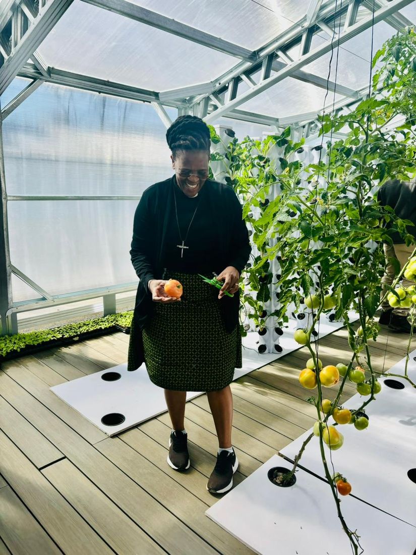 A woman in a clergy collar smiles as she harvests a ripe tomato among tall tower-grown vines.