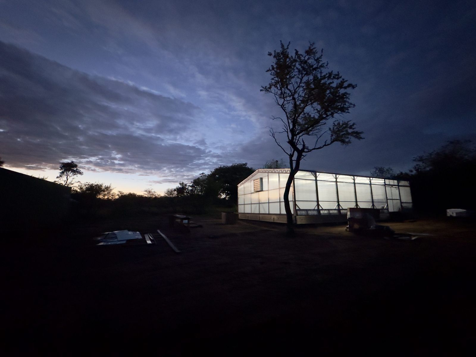 The Acornhoek greenhouse glowing at dusk under a dark sky, a lone tree silhouetted beside it.
