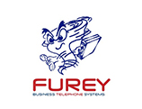 Furey Business Systems logo