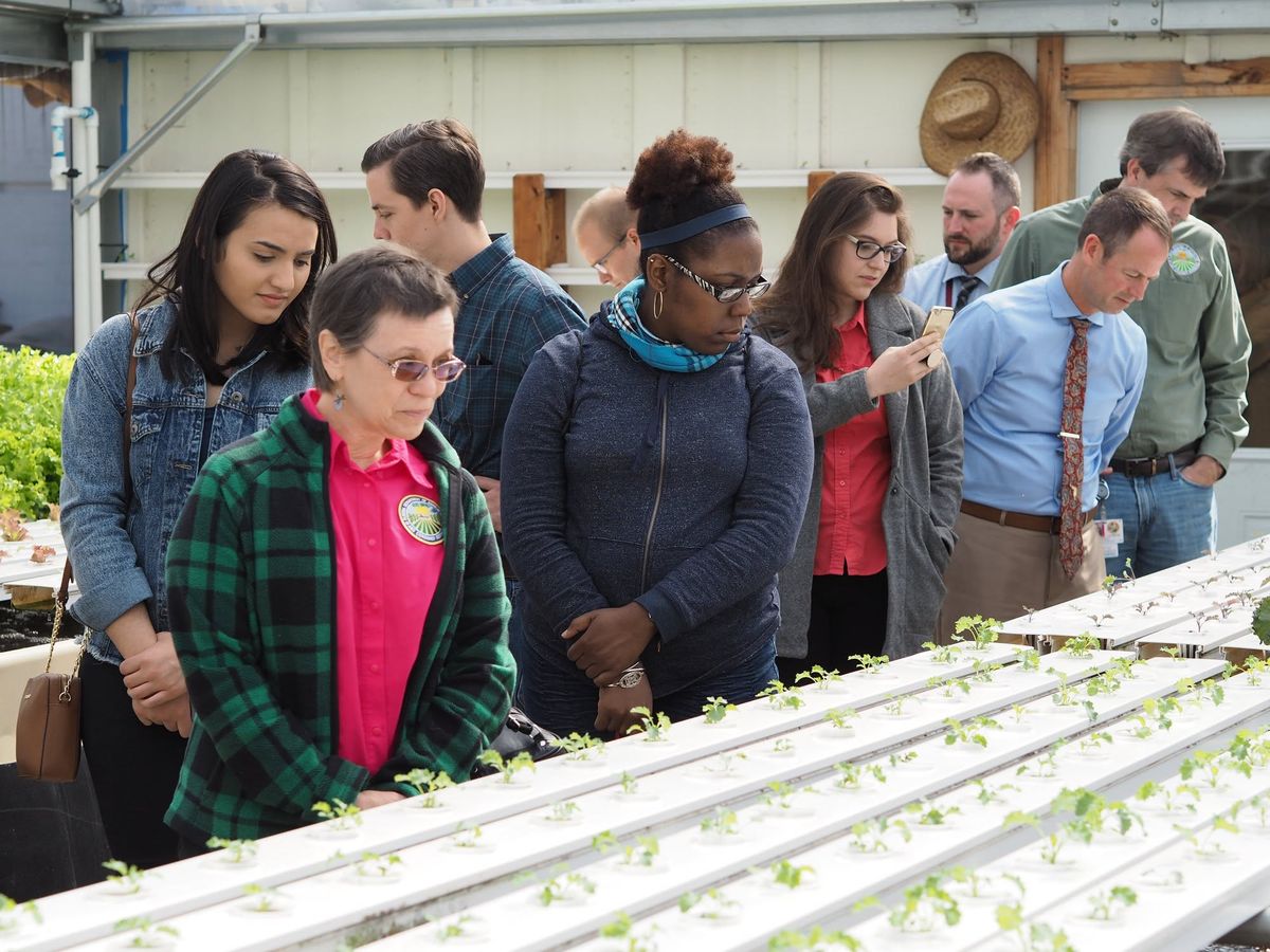 Trainees learning the aquaponics grow beds by hand