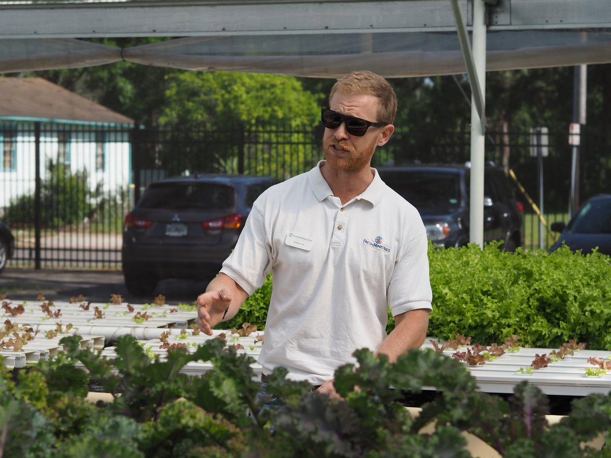 A NativeFresh grower tending an aquaponics bed