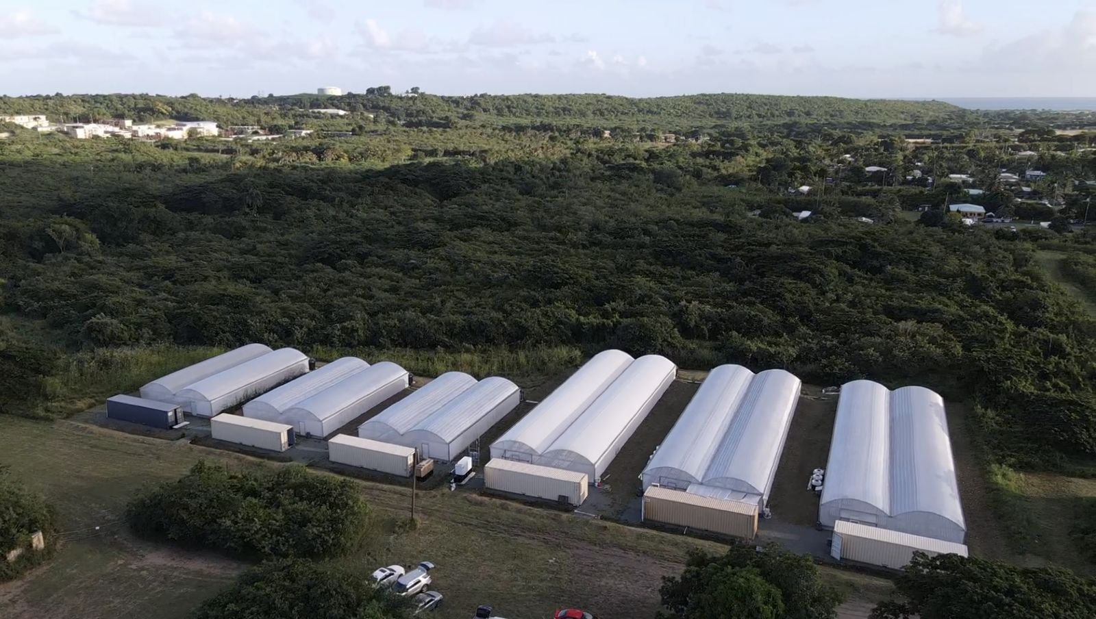 Aerial view of the six Island Fresh aquaponics greenhouses in a green valley on St. Croix, the sea beyond.