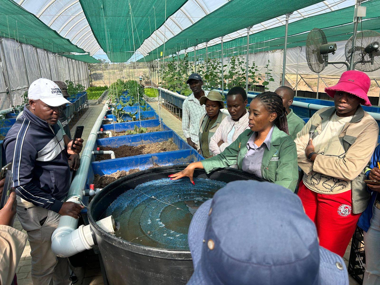 A guide talks a tour group through a fish tank between rows of blue grow beds inside the Mpumalanga aquaponics facility.