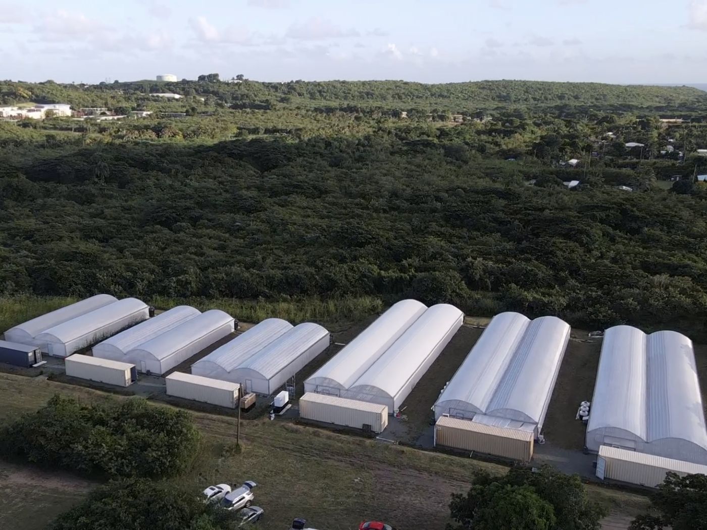 Rows of FreshMinistries greenhouses seen from the air.