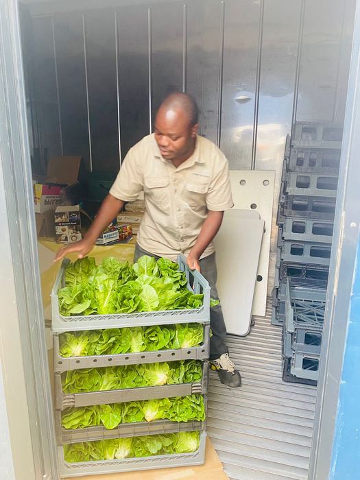 A worker packs crates of fresh lettuce in the cold room at the Randburg facility.