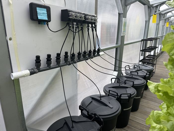 A sensor manifold wired to a row of sump bins along the greenhouse wall at Randburg.