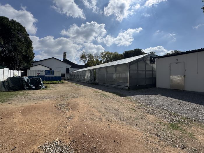 The Randburg site from the yard: the greenhouse, the cold room and the training centre container under a bright sky.