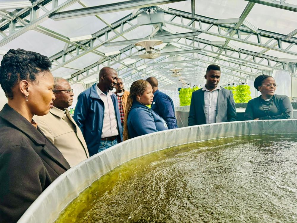 Visitors stand at the edge of a fish tank inside the Randburg greenhouse, listening as the system is explained.