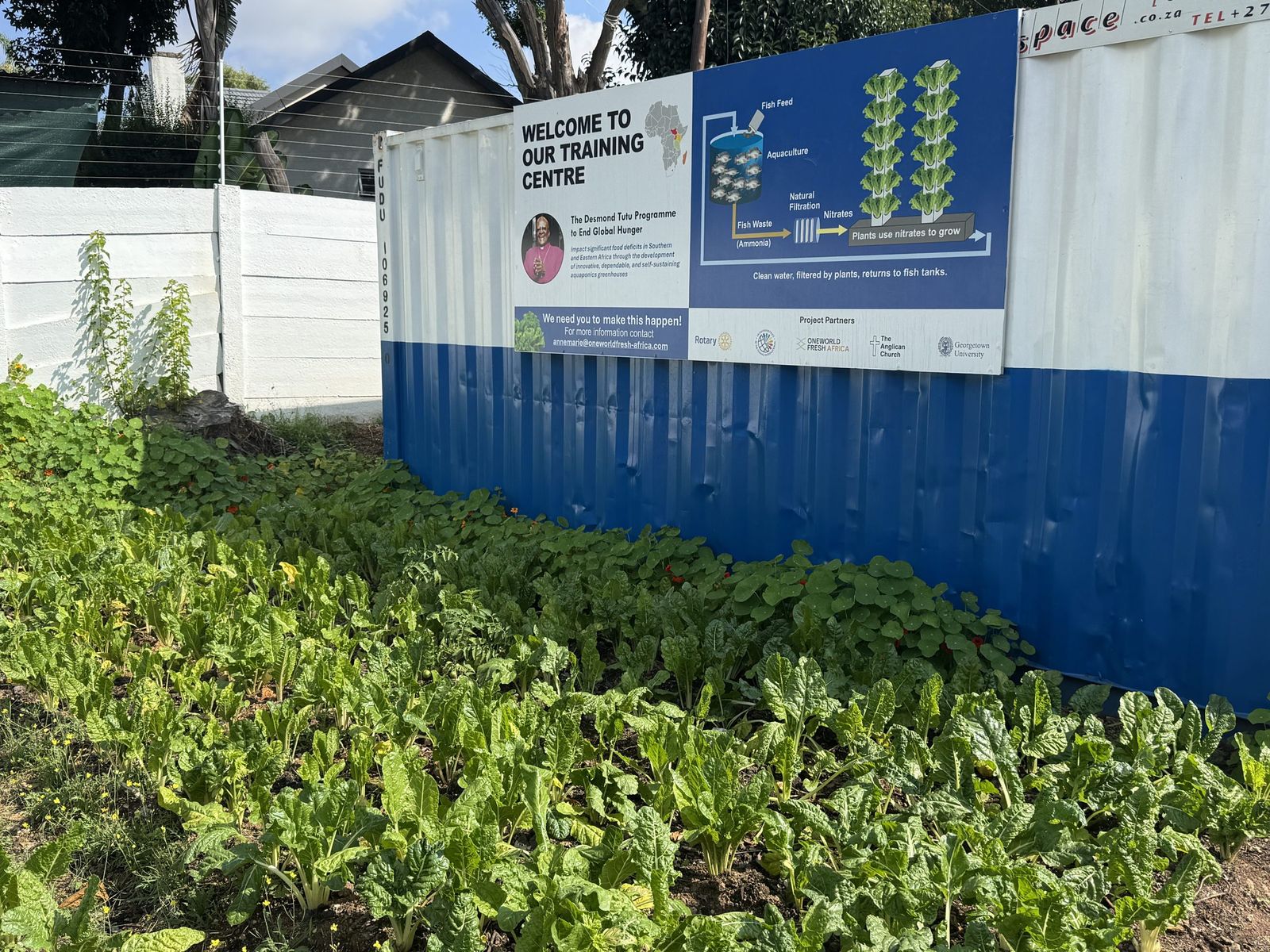 A Welcome to Our Training Centre sign for the Desmond Tutu Programme above a bed of chard at the Randburg facility.