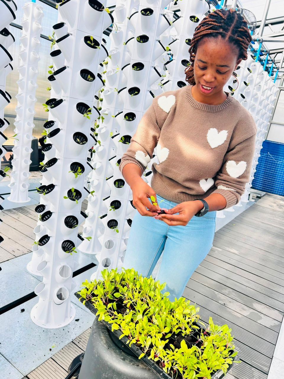A young woman sets seedlings into a vertical grow tower at the Shalati greenhouse in Mpumalanga, South Africa